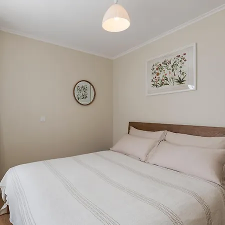 Peixeira And Lissabon